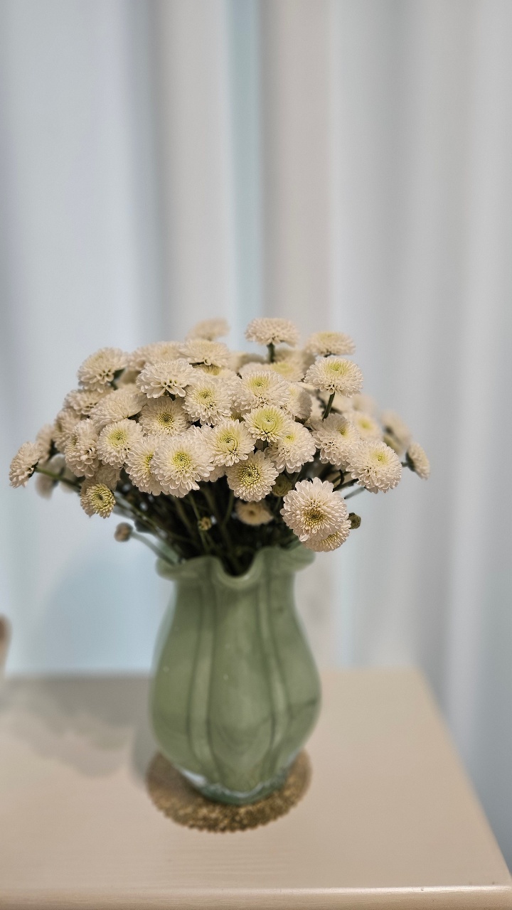 내돈내산 화이트데이💐