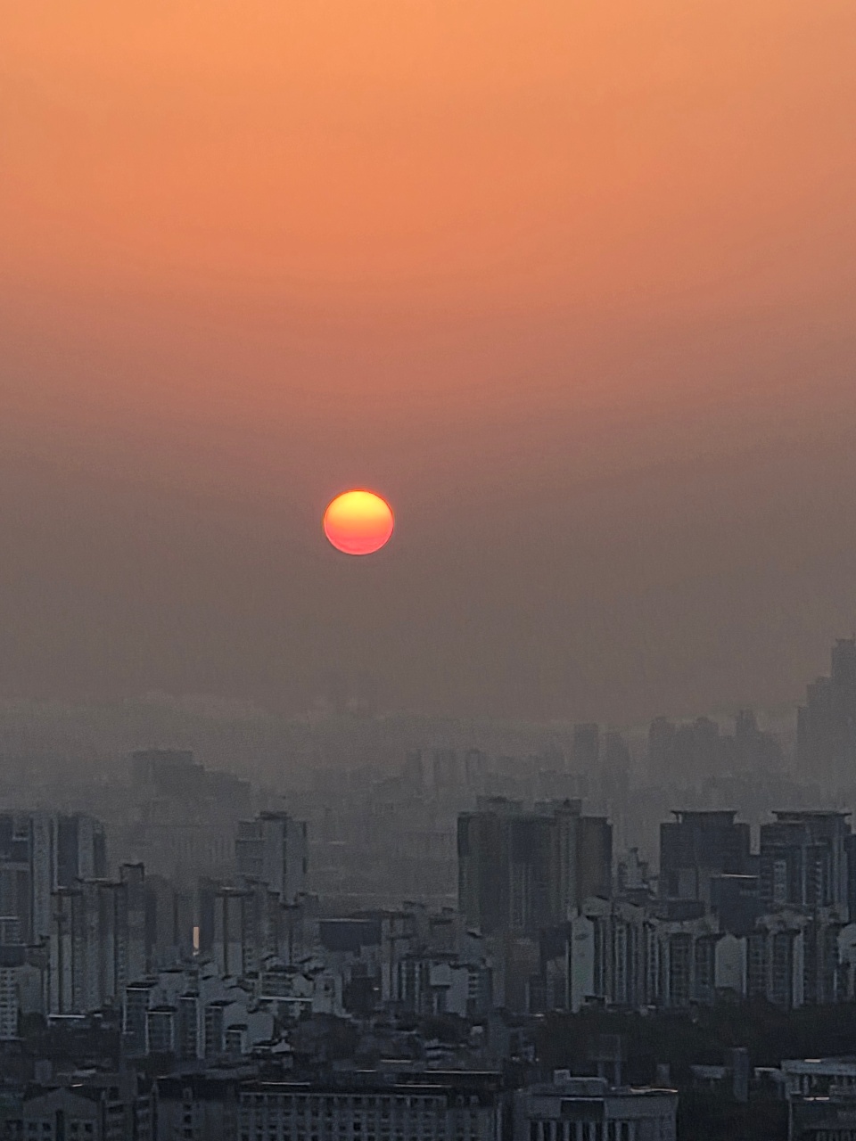선명하네요