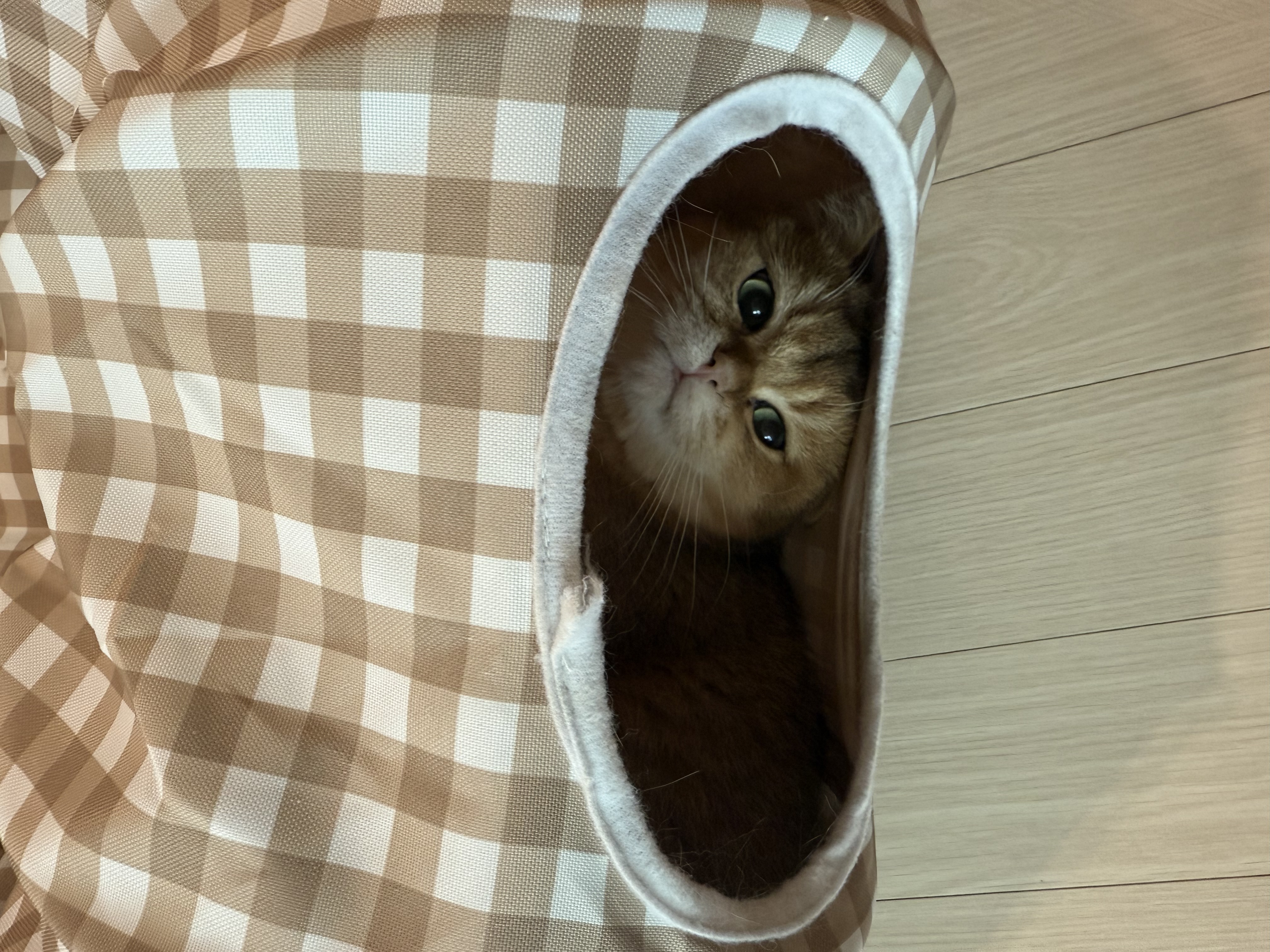 첨부파일