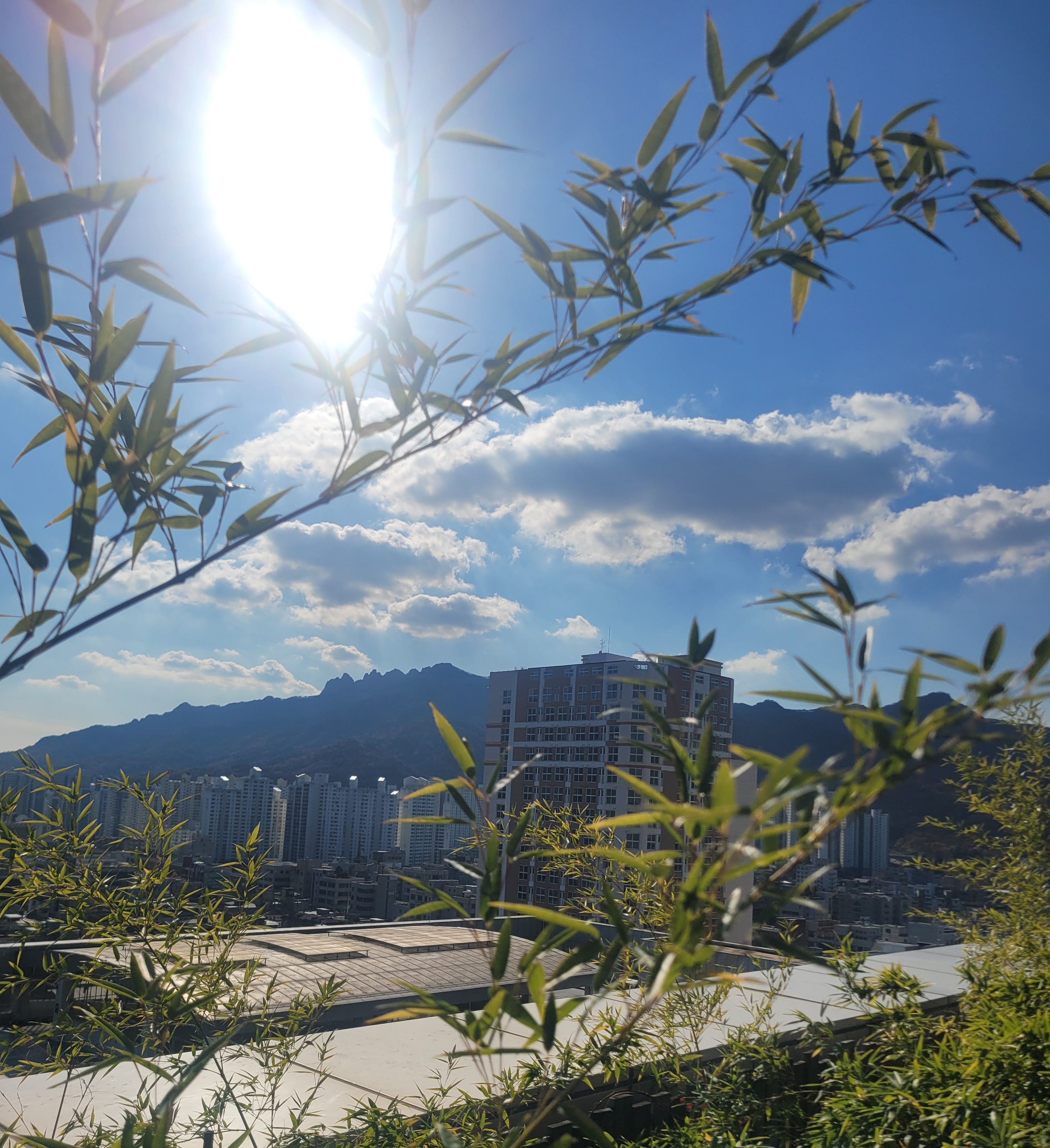 첨부파일