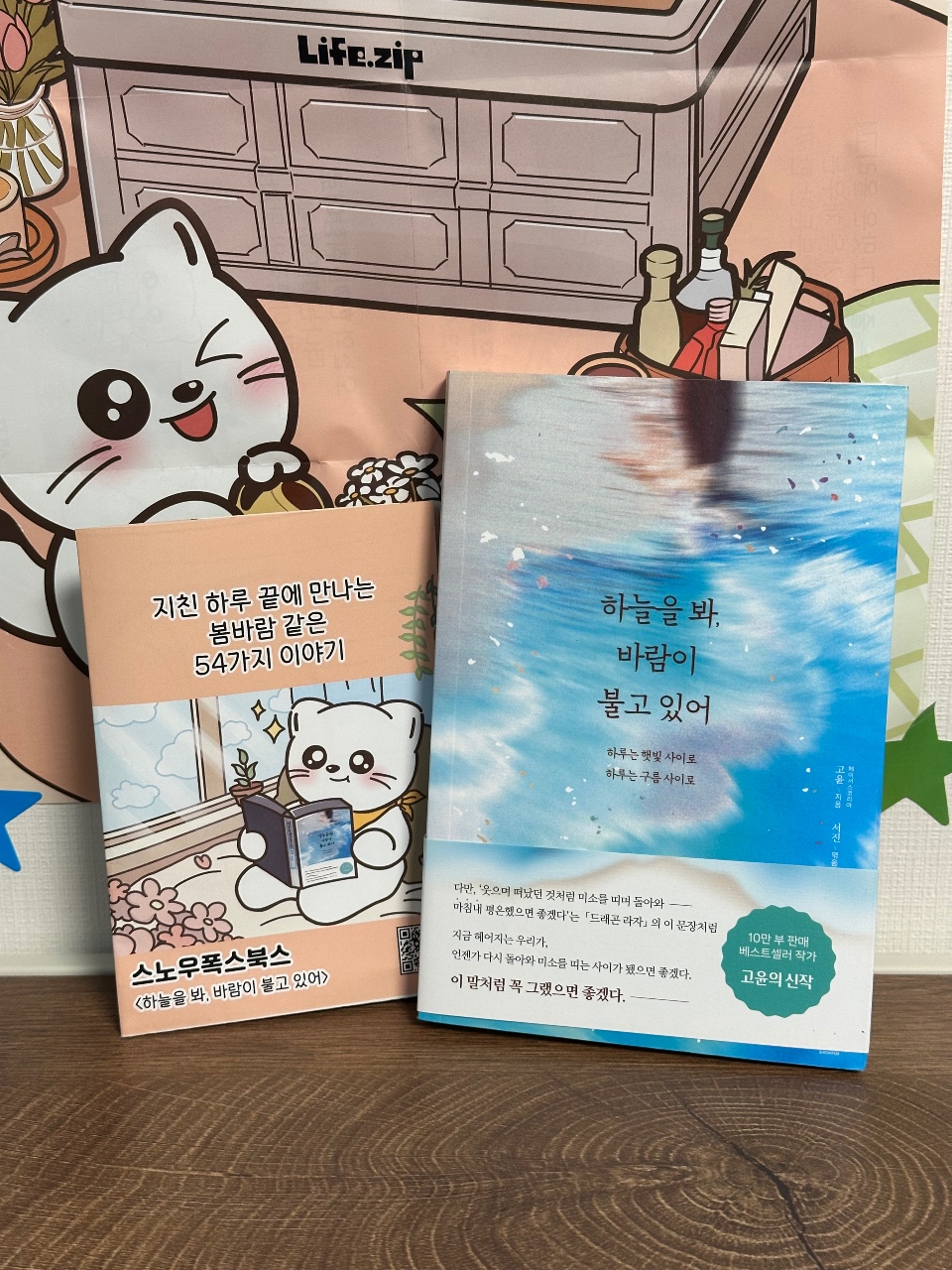 책장 앞에 놓인 한국 도서 두 권과 고양이 인형