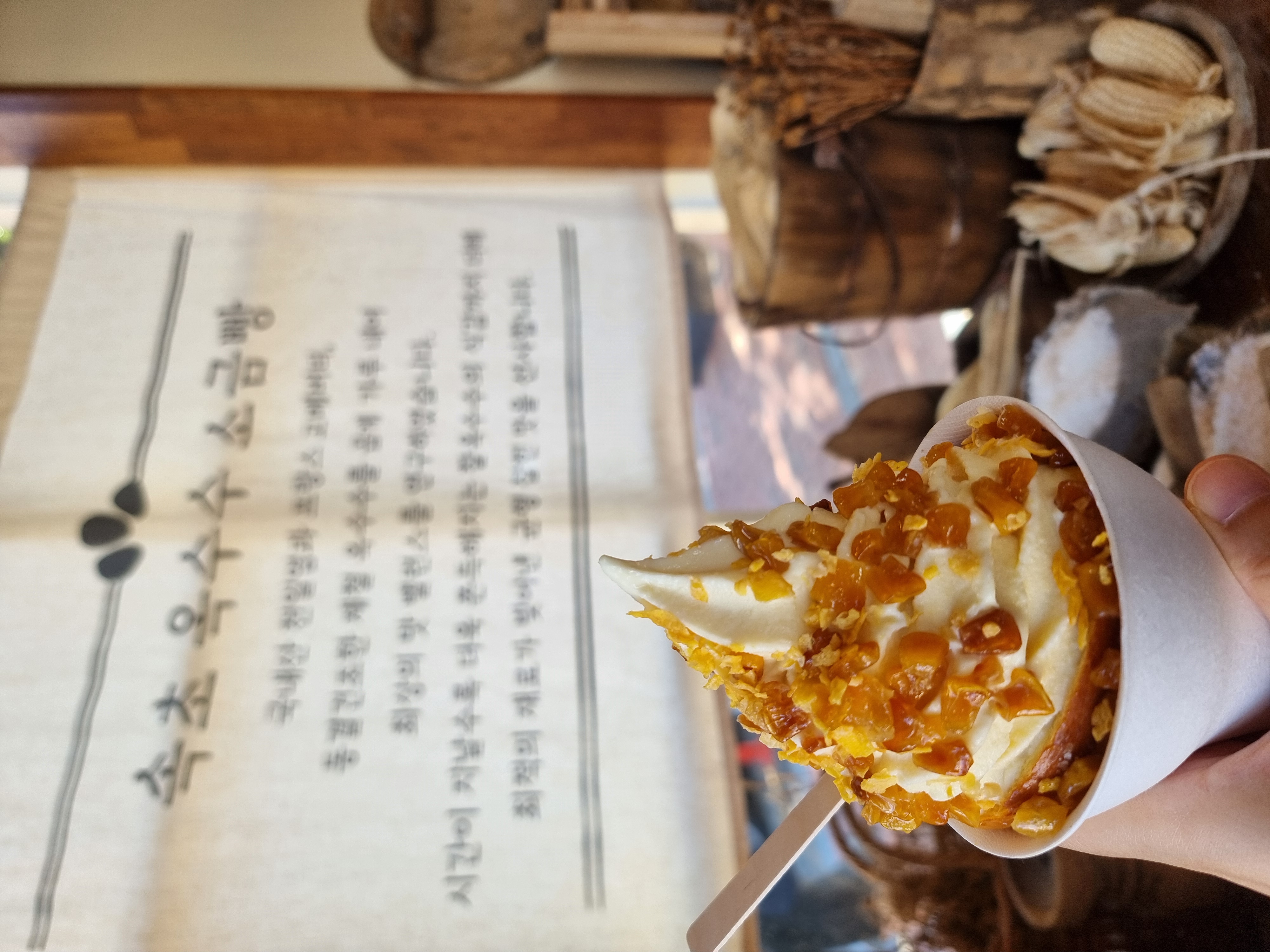 속초 디저트 🌽🌽🍦