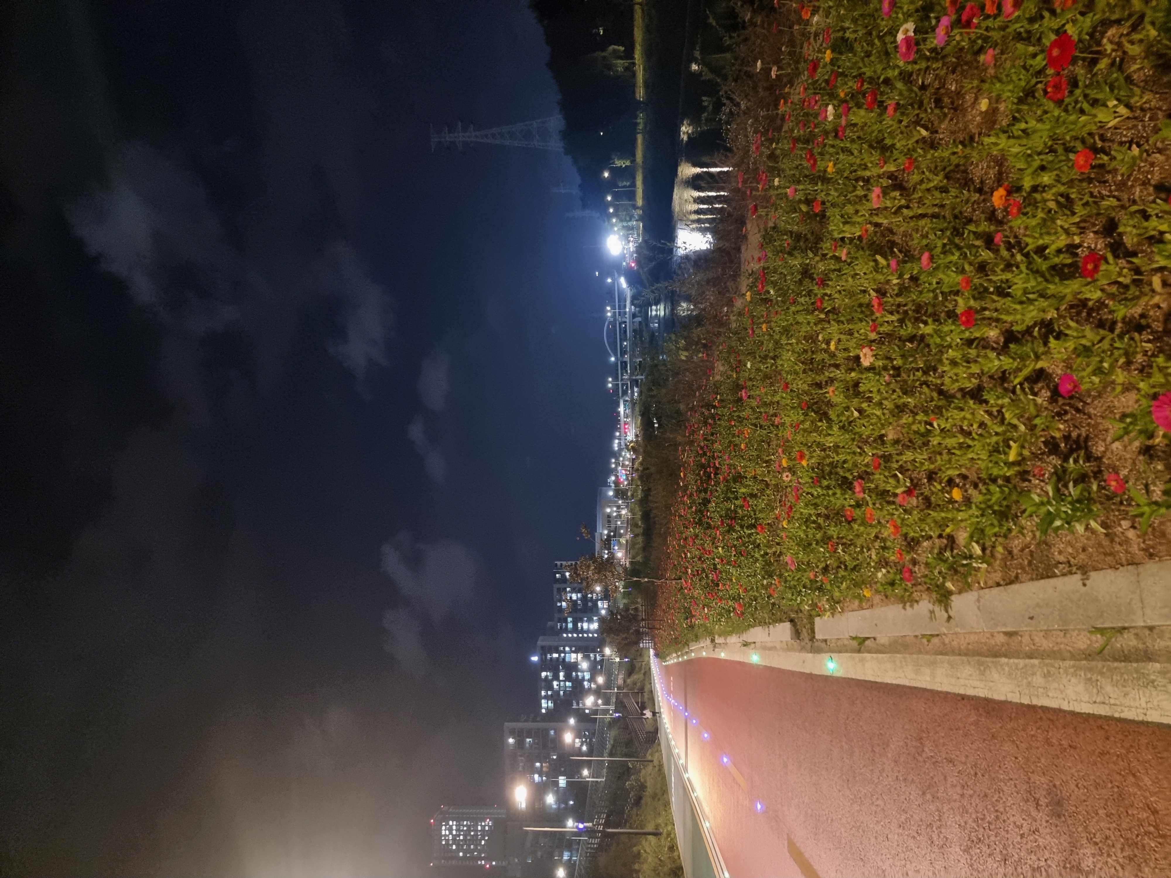 산책길에서🌼🌷🌹