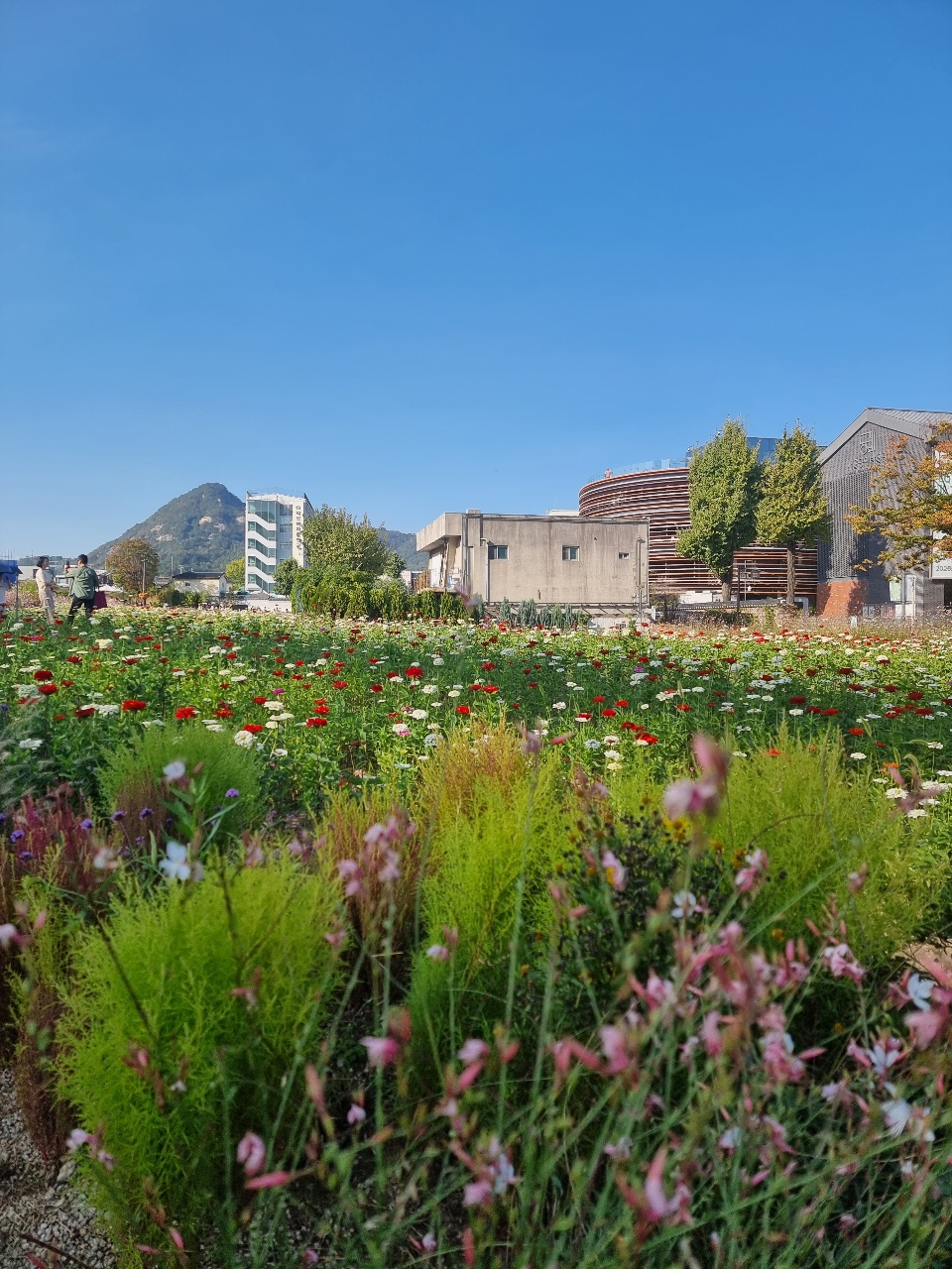 콧바람🌷🌱🌾