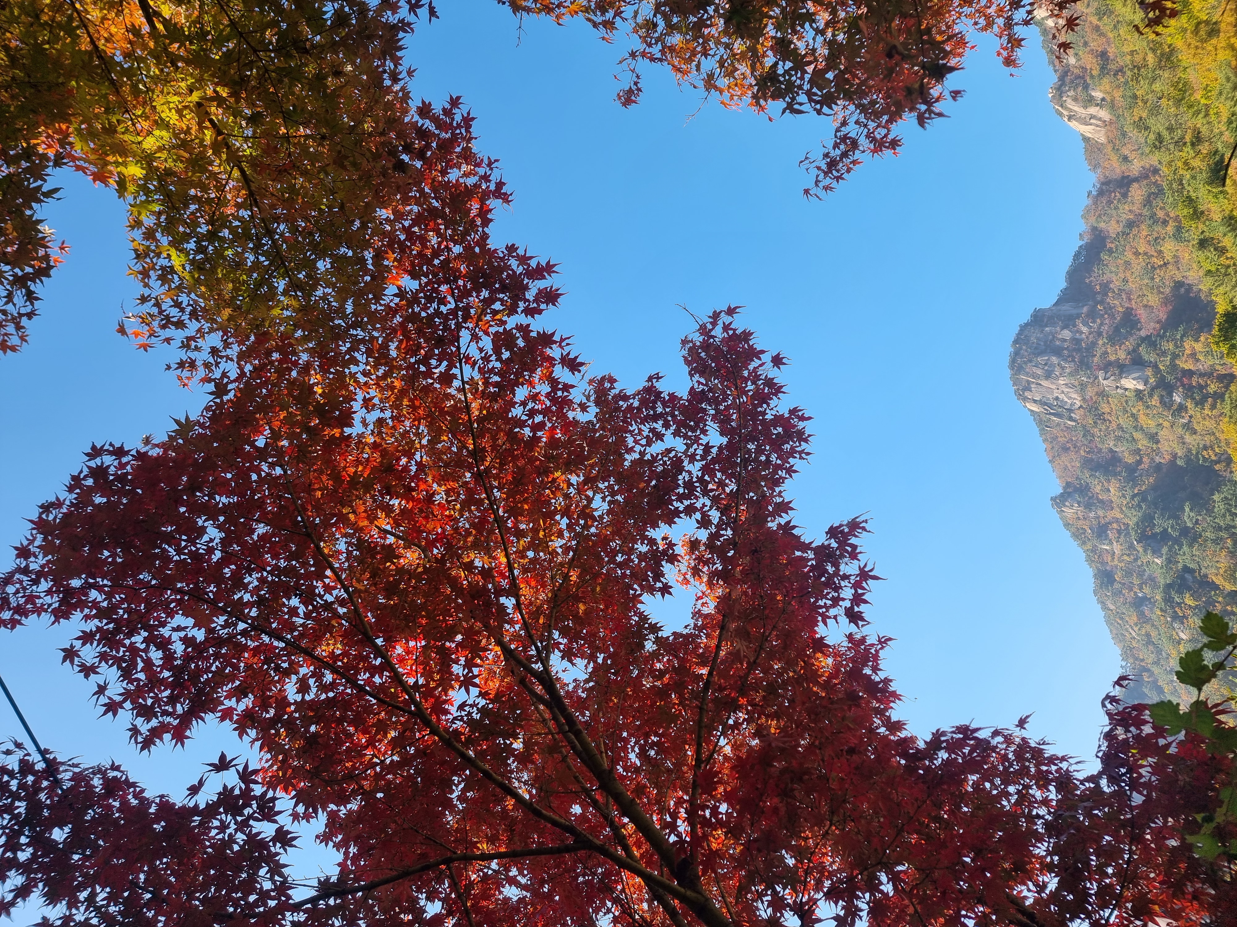 가을 하늘🍂🍁🍃
