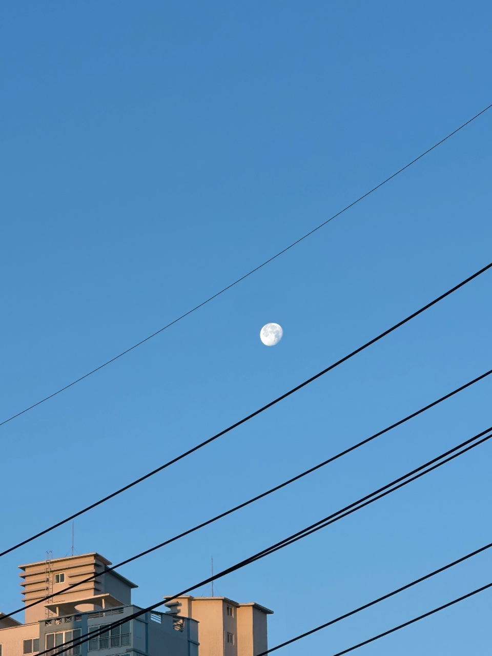 오늘자 출근길 낮달🌕