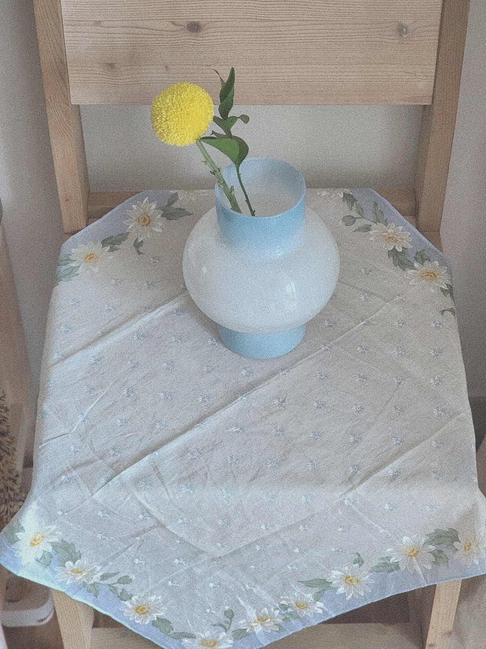(4.29)퐁퐁이국화🌼