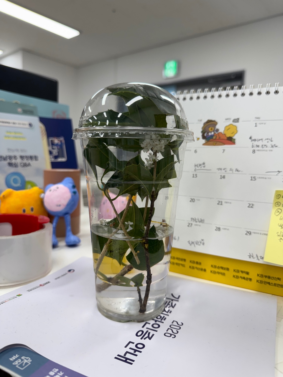 마리마리로즈