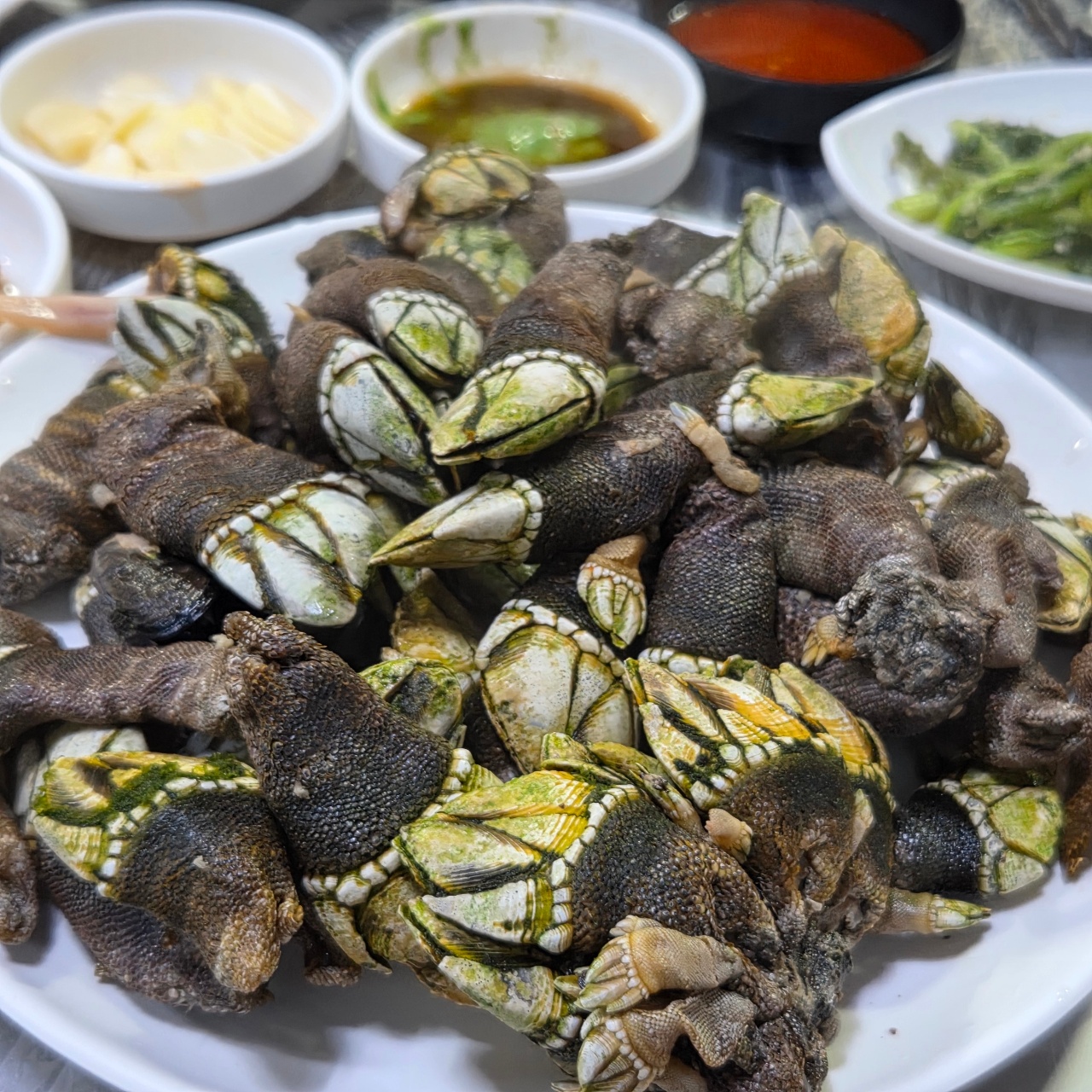 내 인생 첫 거북손💚🐢