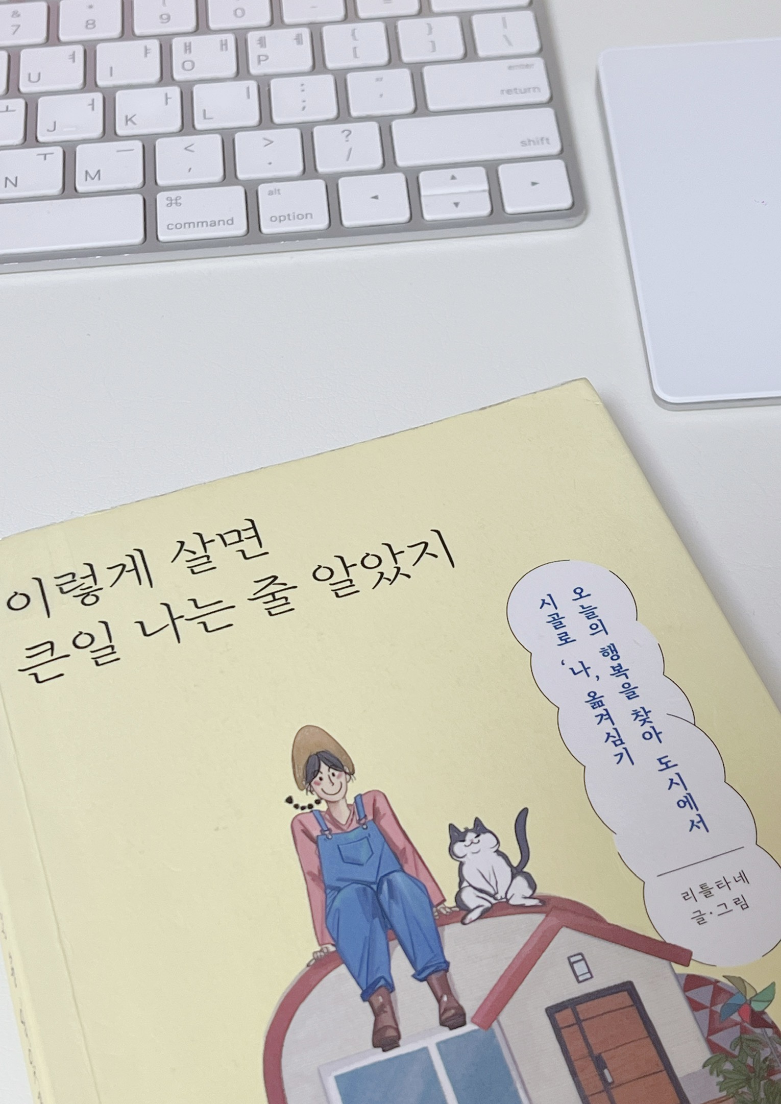 책상 위에서 책 읽기📚