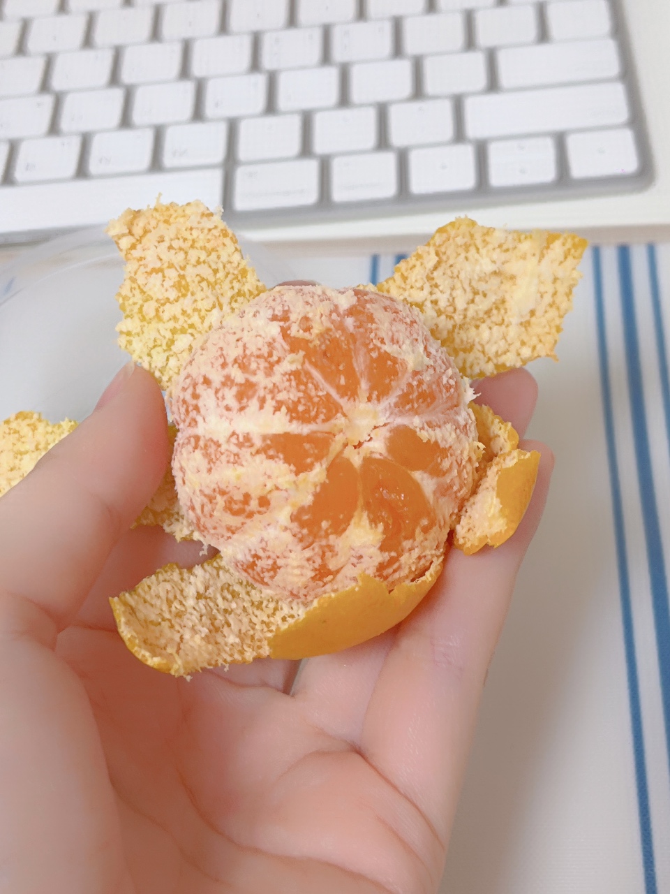 추워지니 귤!!🍊
