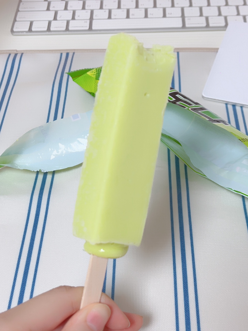 오랜만에 메로나🍈