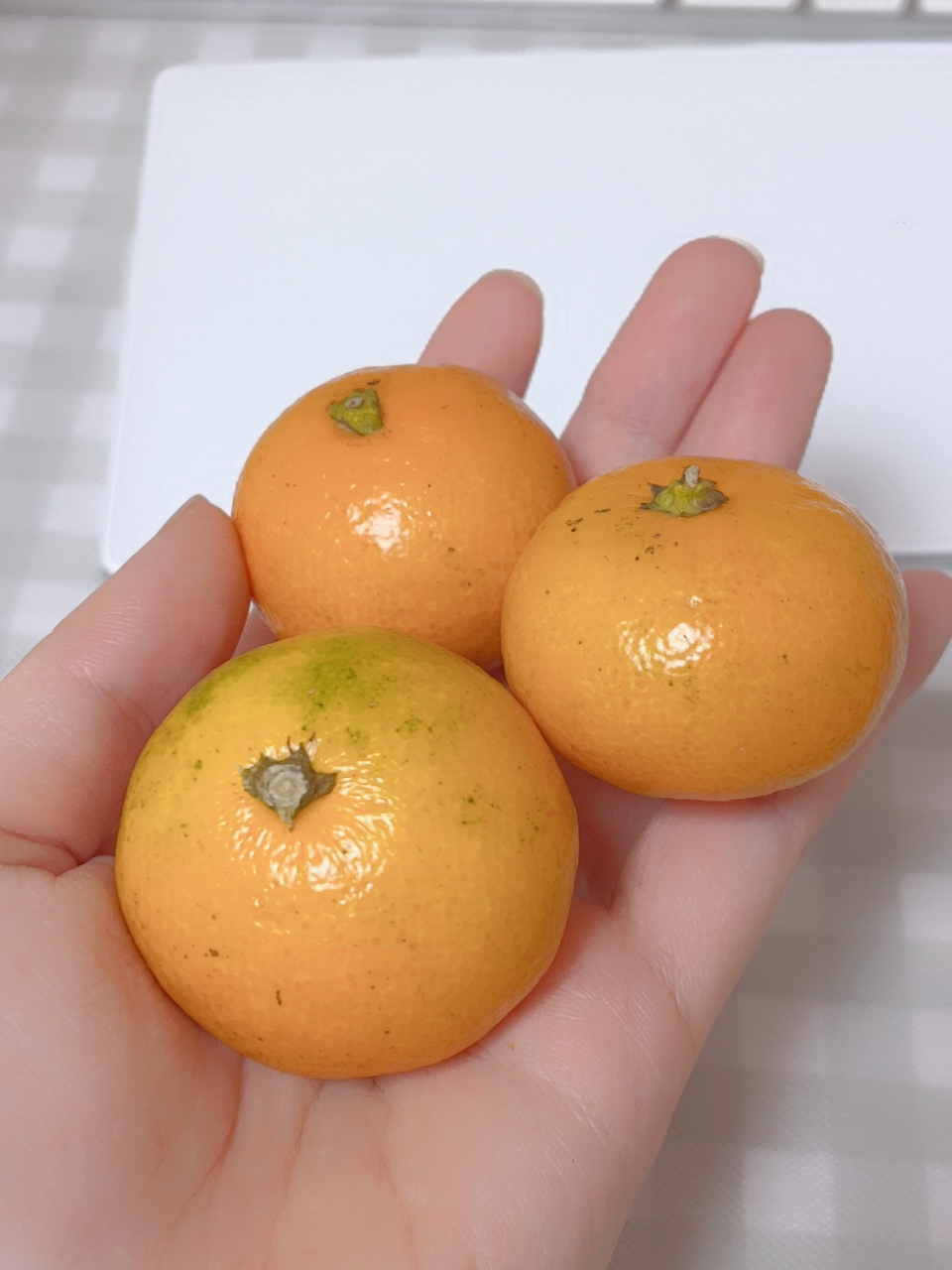 미니과일이 좋아서 미니귤도 사옴!🍊