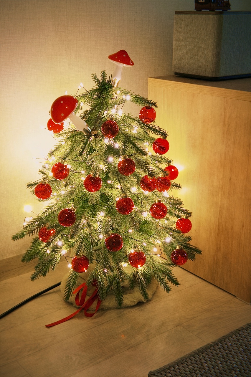 우리집 트리🌟🎄