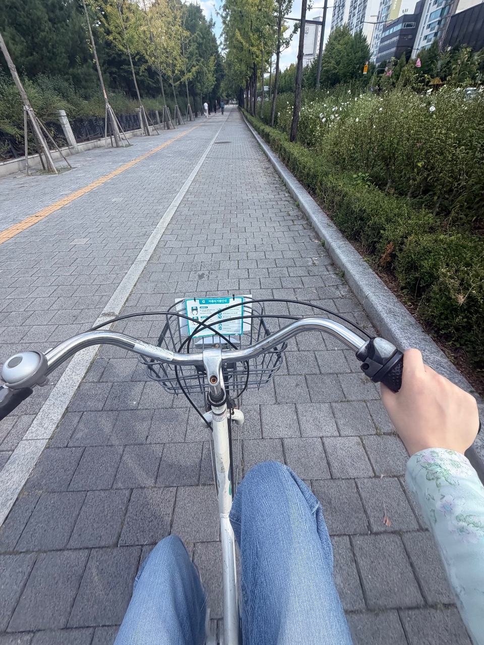 내가 요즘하는 운동은…