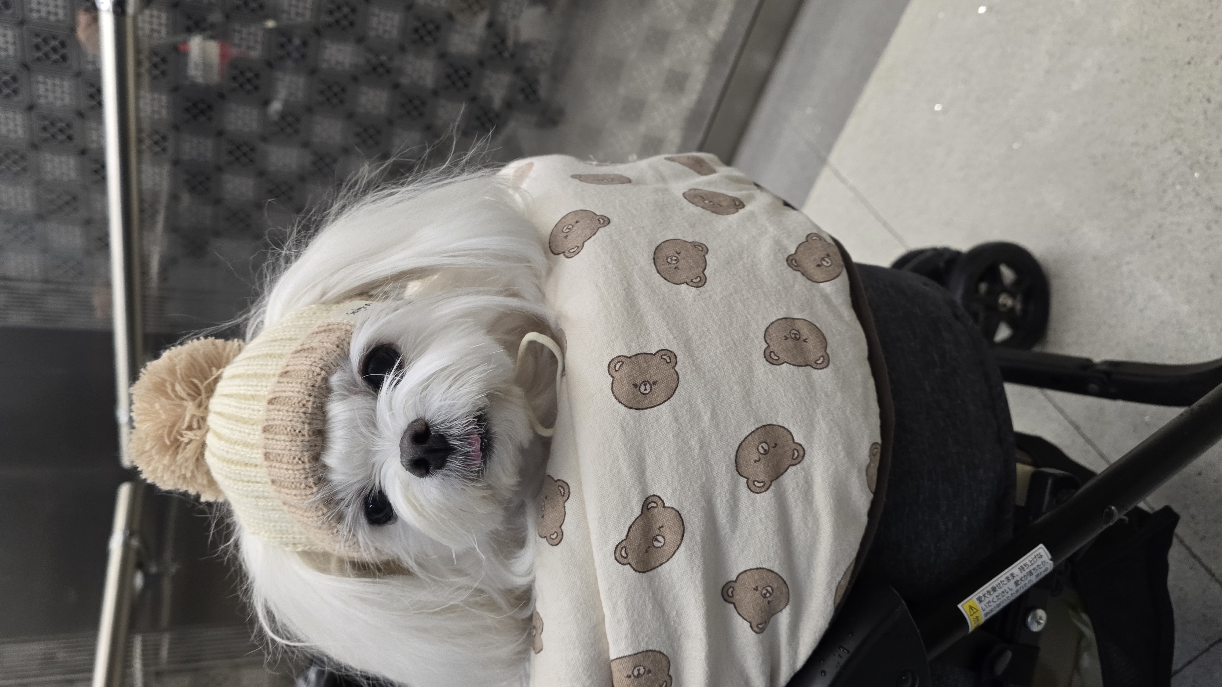 첨부파일