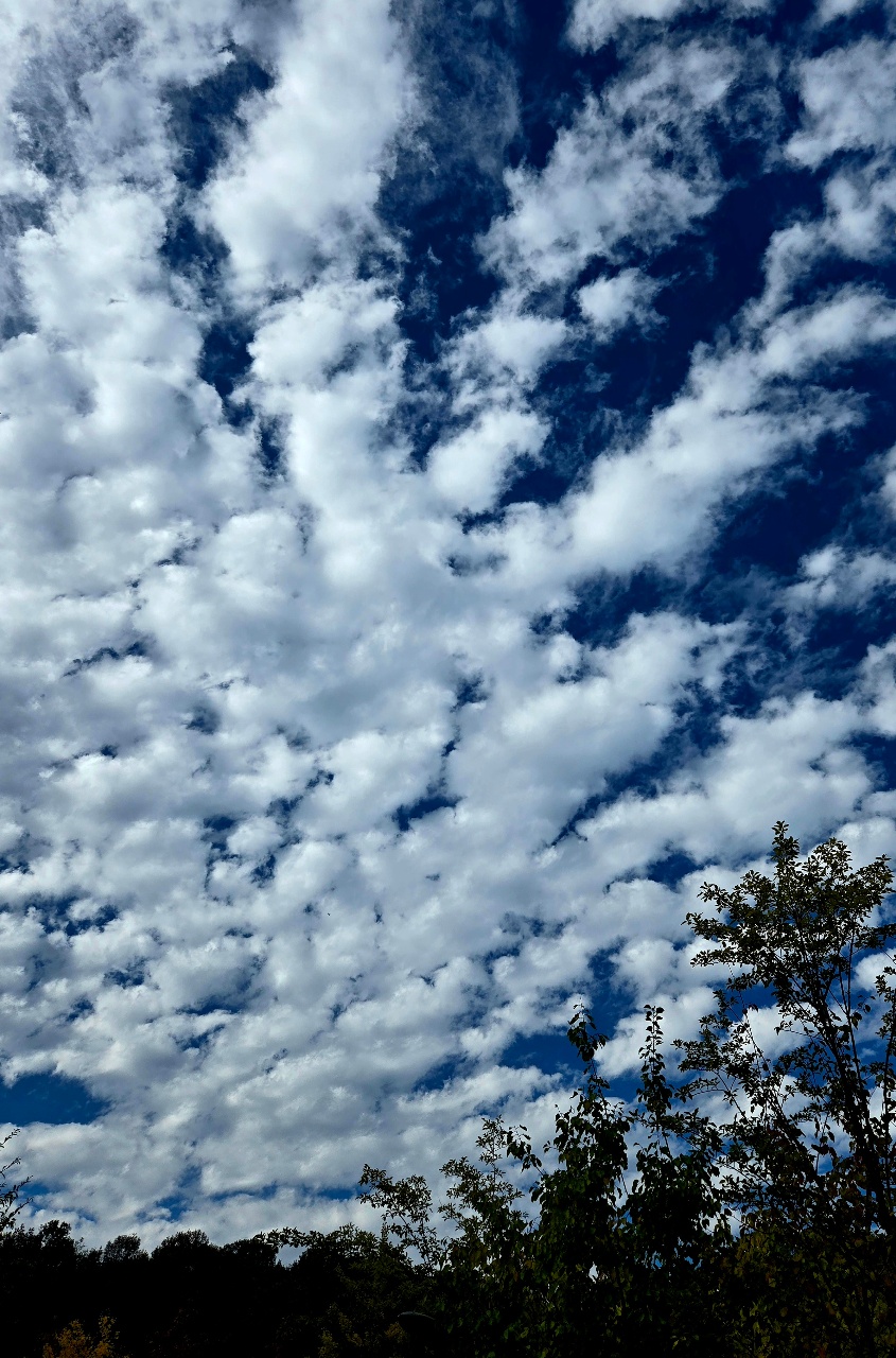 가을하늘 ☁️