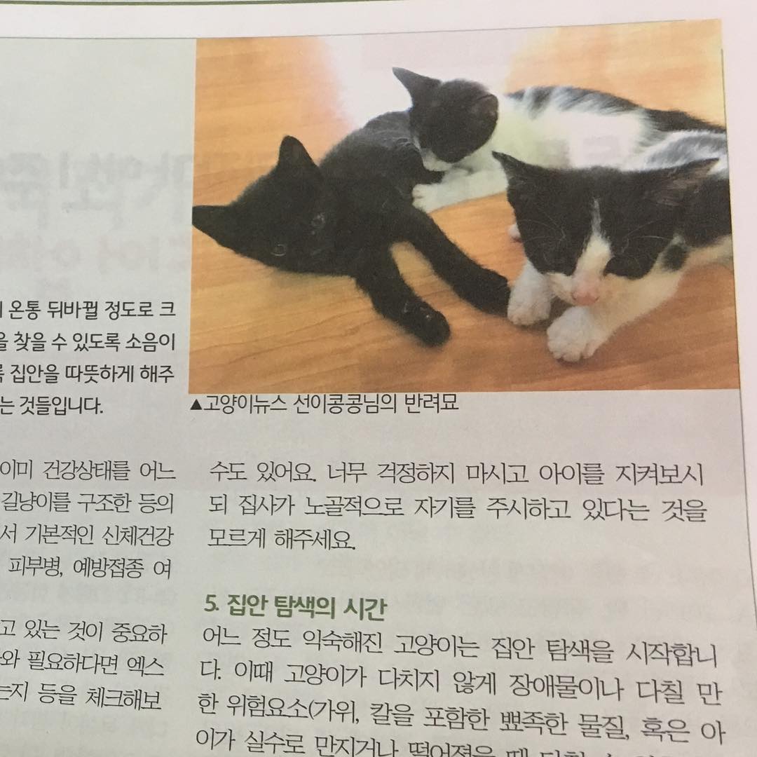 내 사진이 무슨 의미