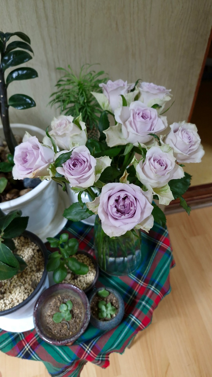오번가