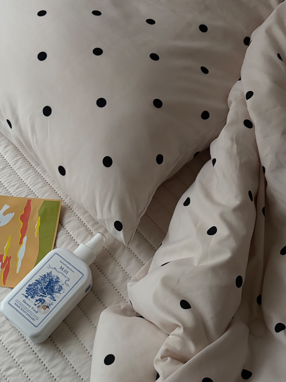 침대콕 미션 🛏️