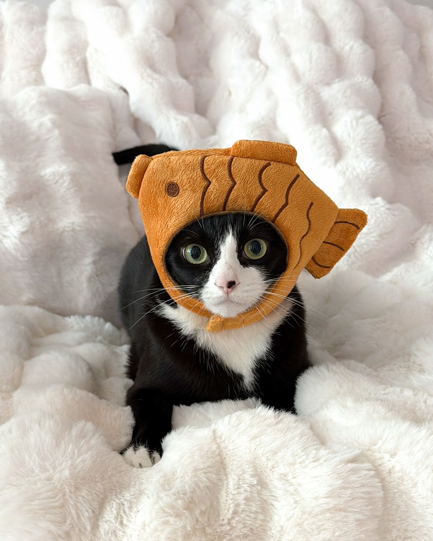 잘찍은 사진 구경하실래요?