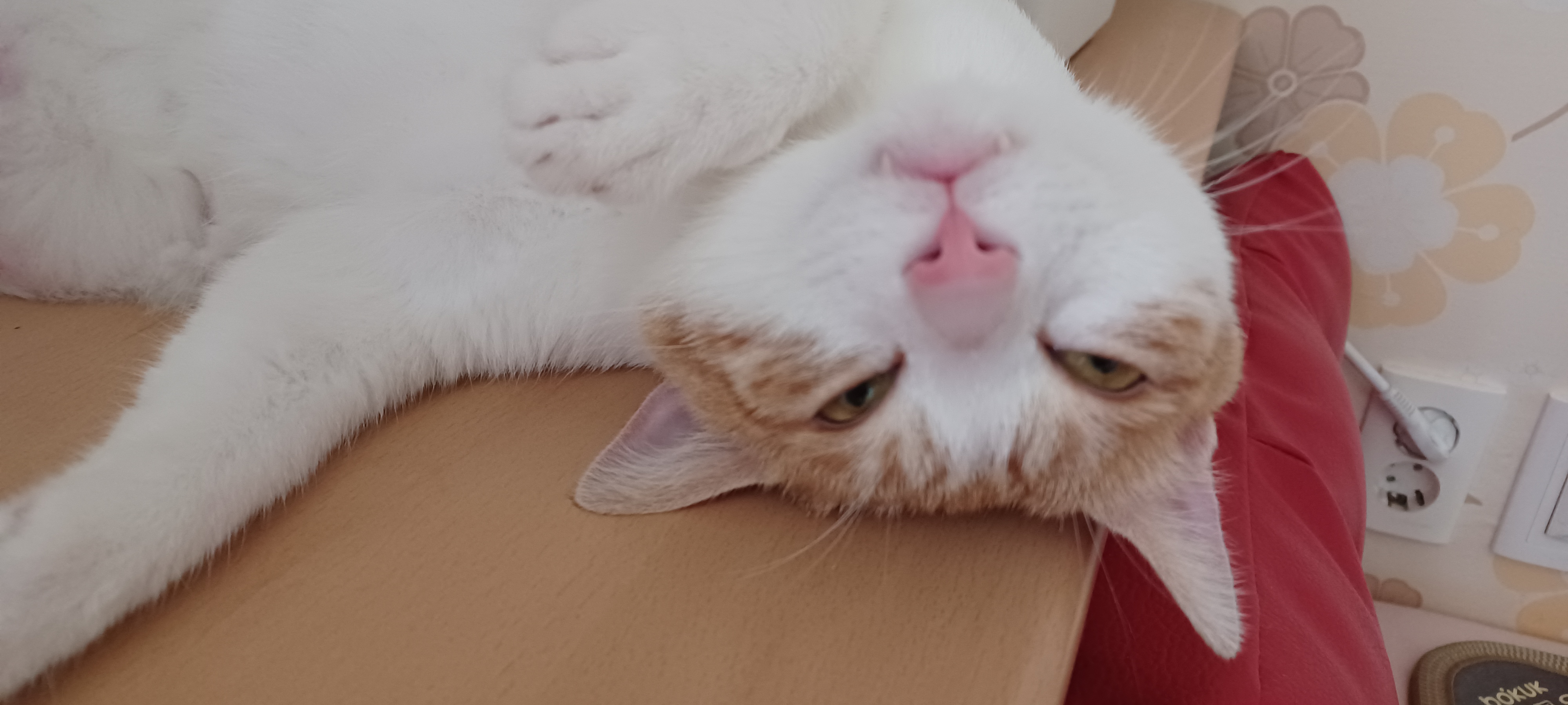 첨부파일