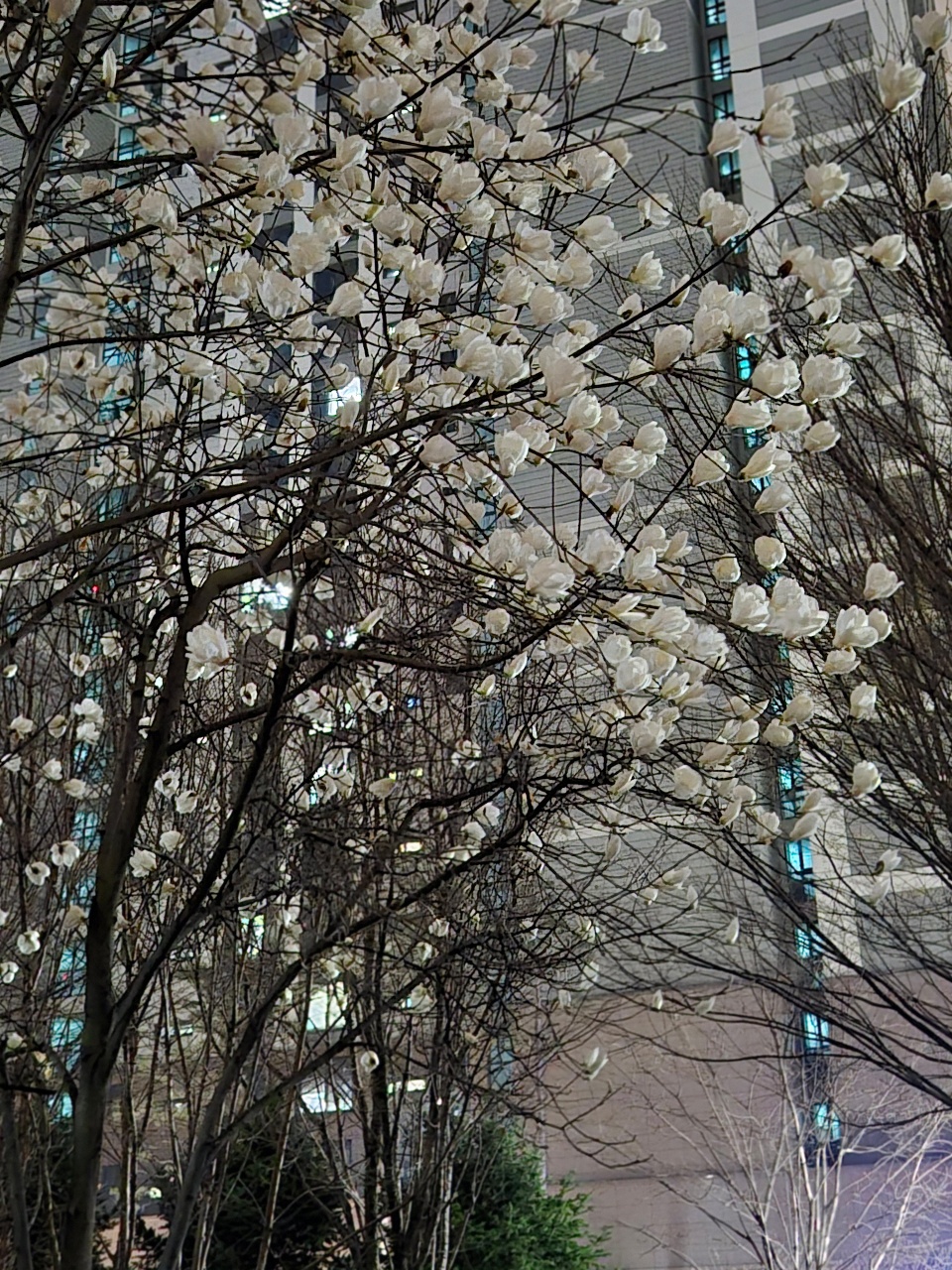 밤산책