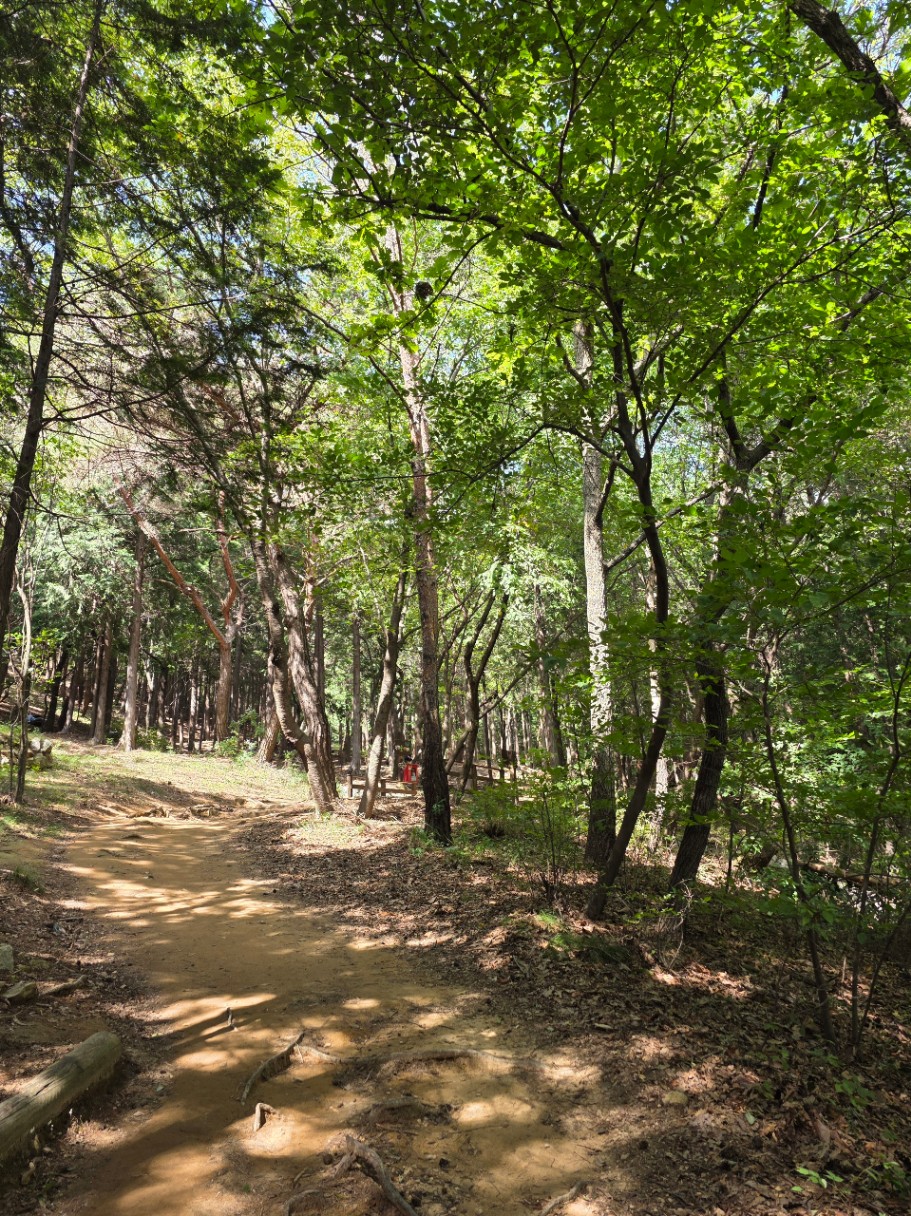 ⛰️ 등산의 계절이 돌아왔습니다