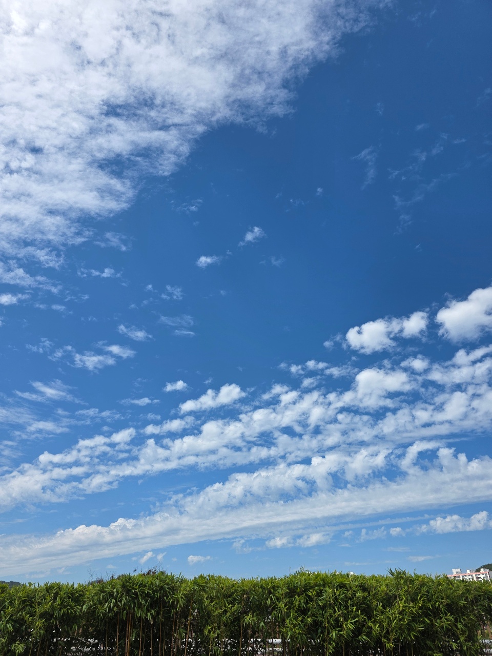 🌤 요즘 구름이 너무 예뻐요