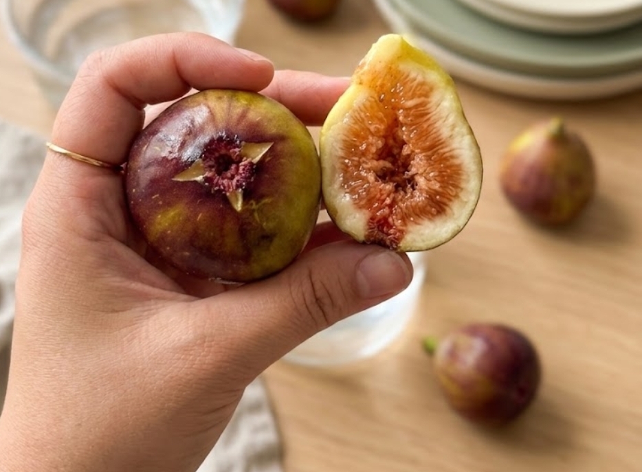 😋 요새 핫한 무화과