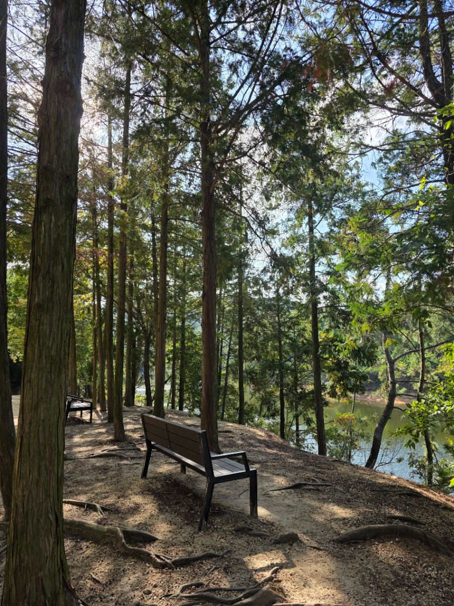 ⛰️ 남의 동네 뒷산ㅎㅎ