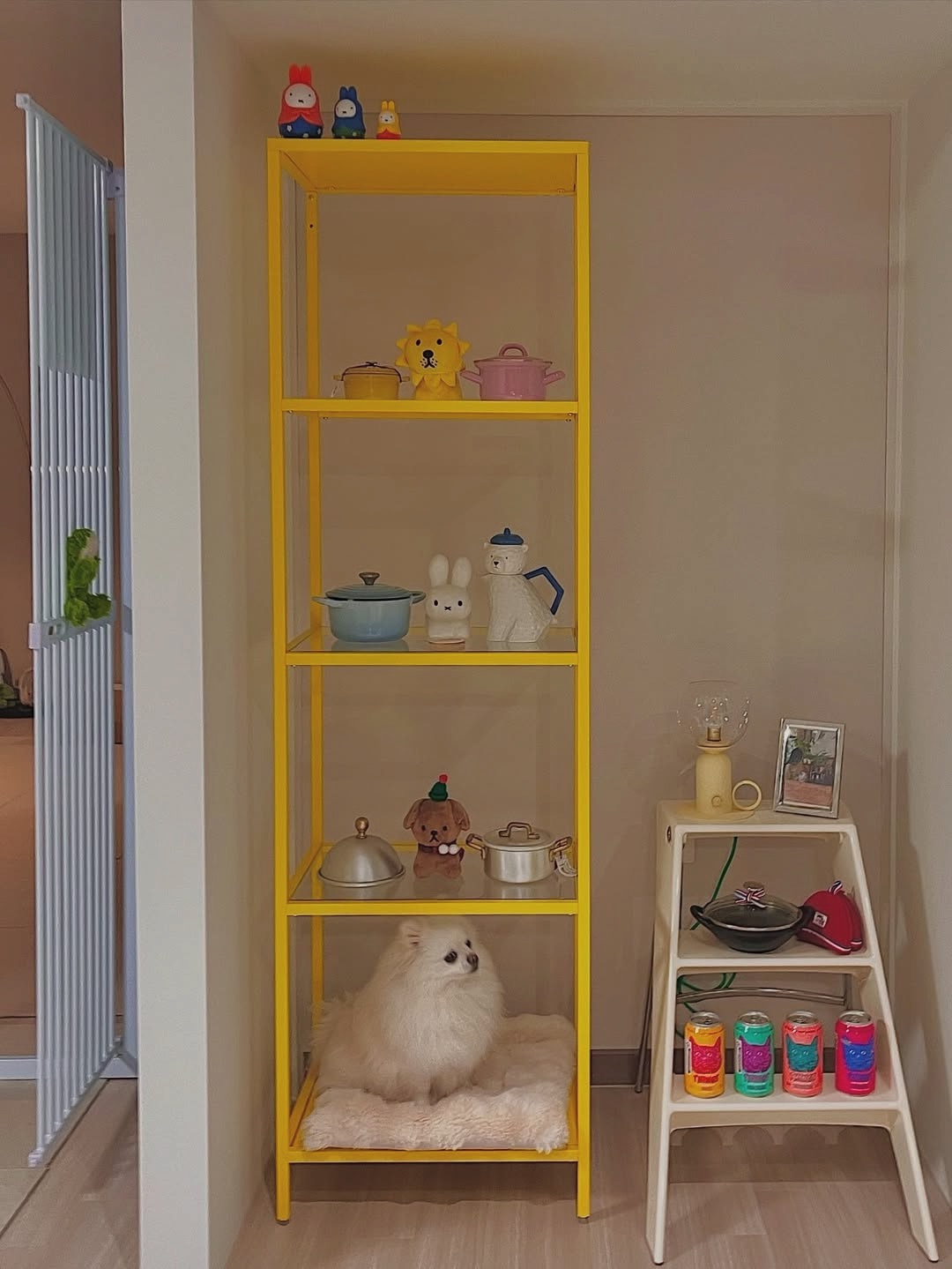 💛미니냄비 수납장🥹💛
