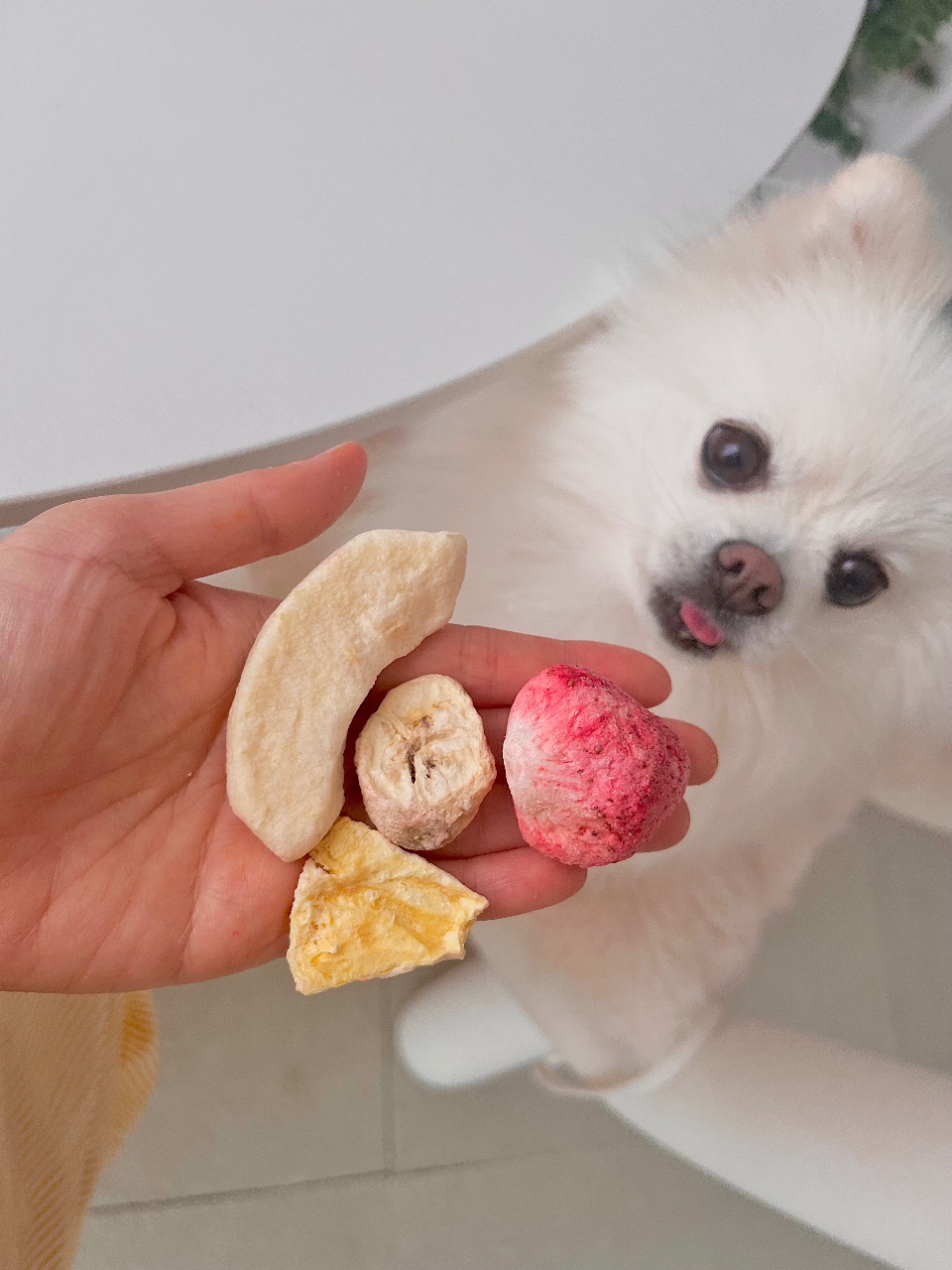 올리브영 과일칩 🍎🍌🍓