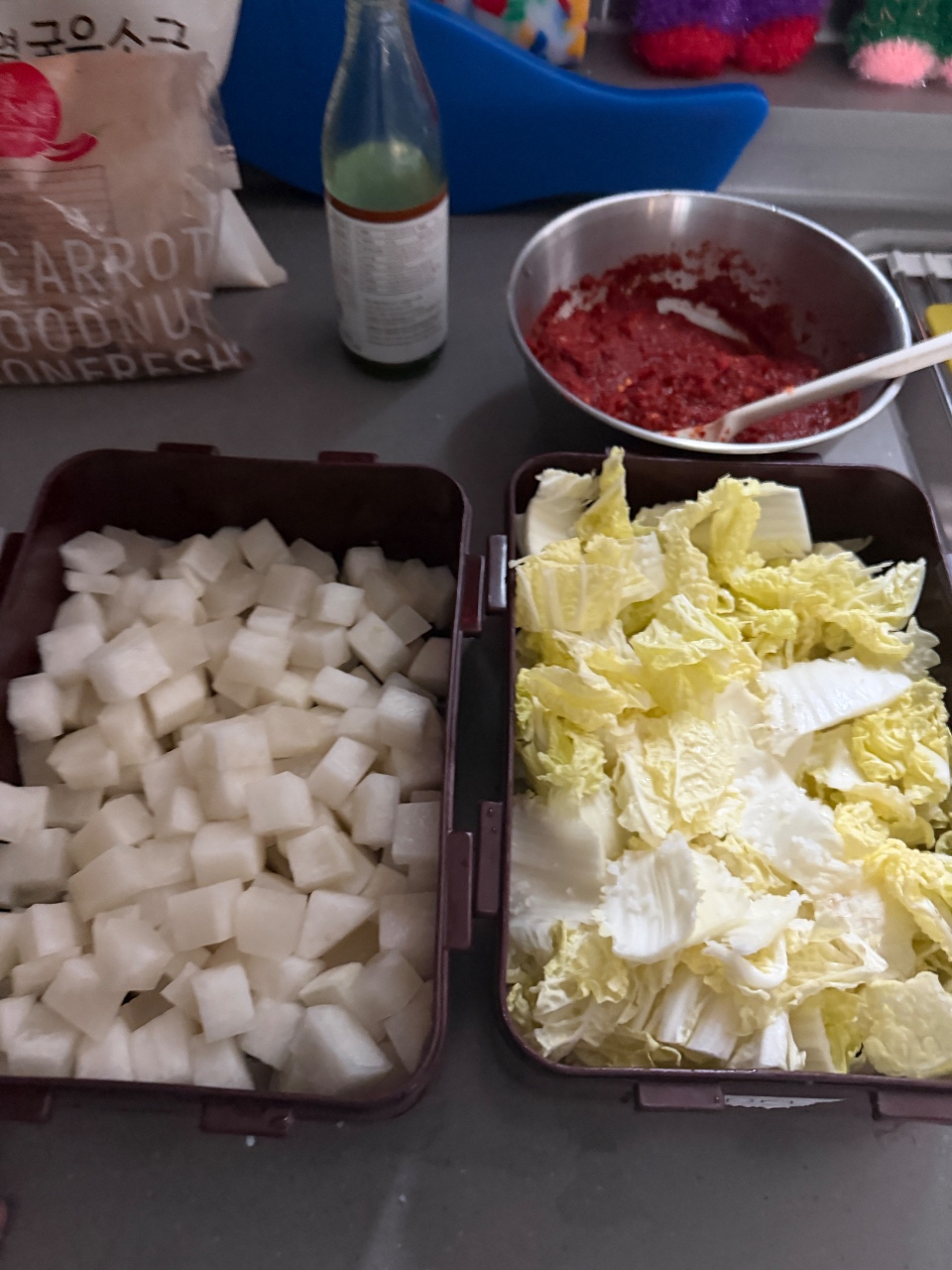 오늘김치 깍둑기랑 겉절이