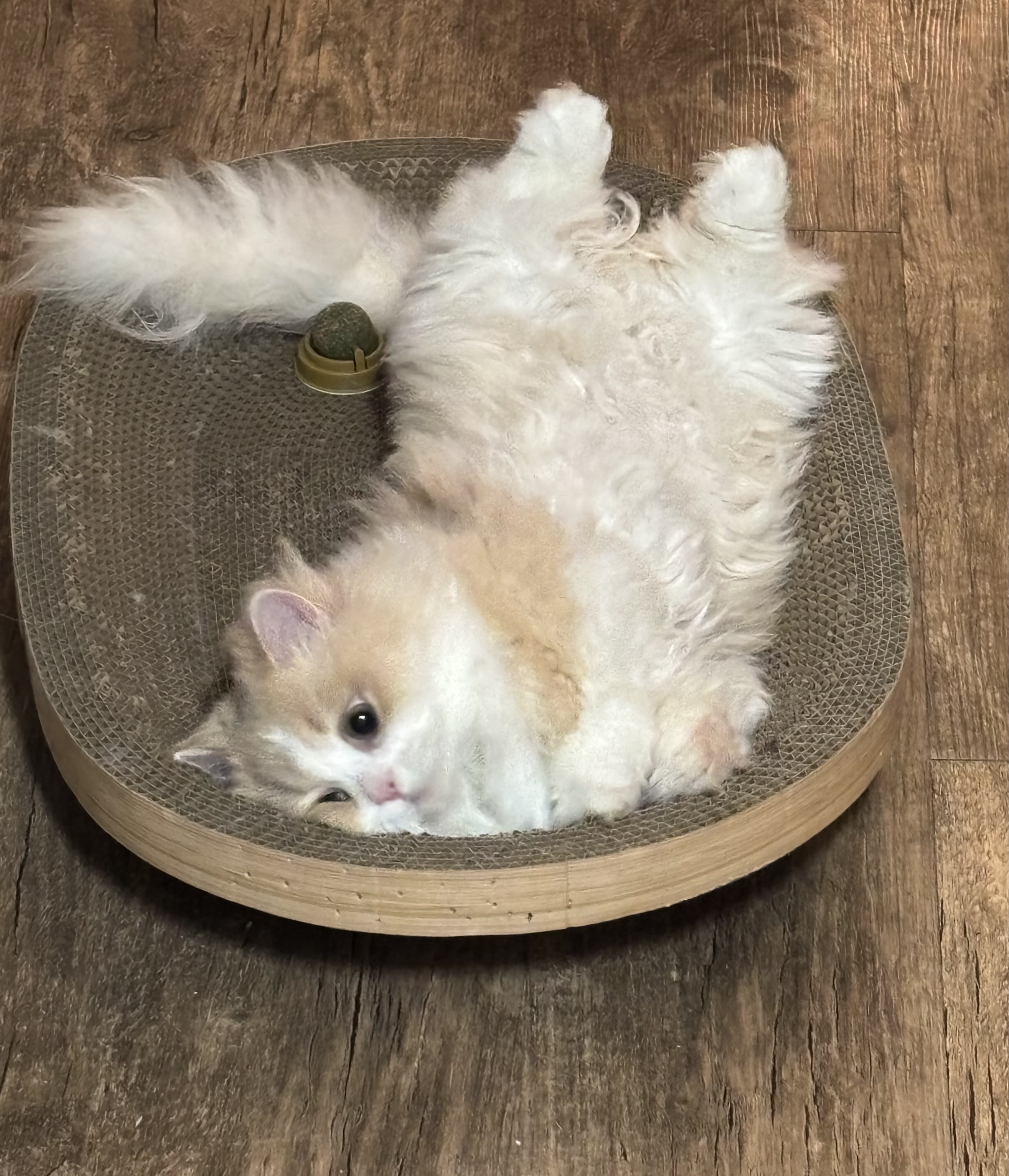 첨부파일
