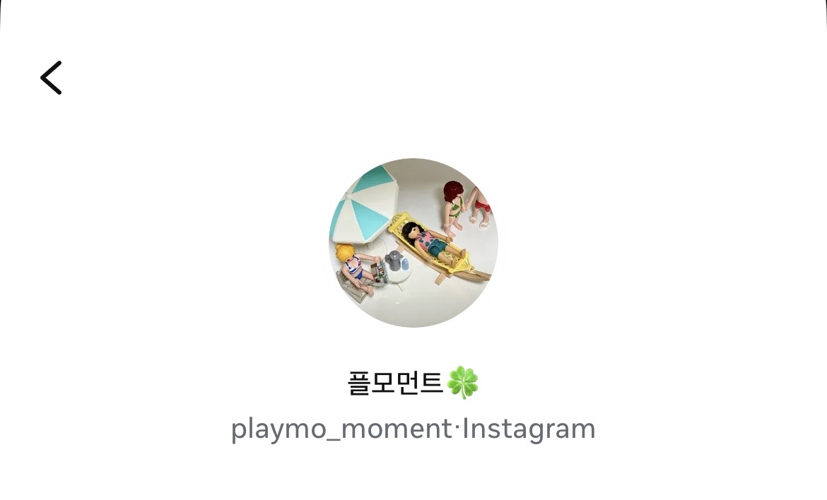 플레이모빌 나는야 키덜트 :)