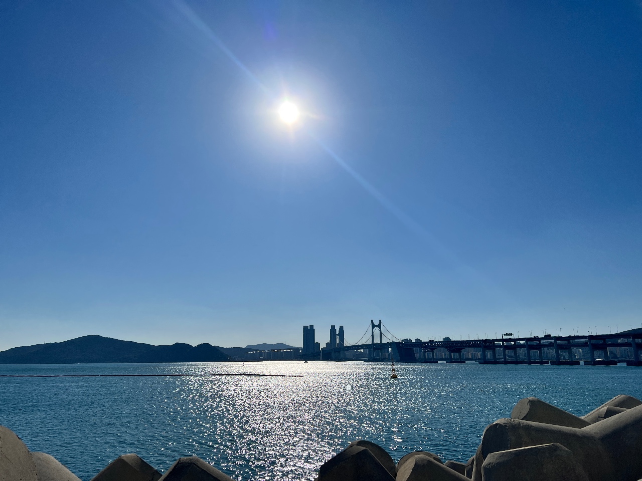 오늘 ☀️