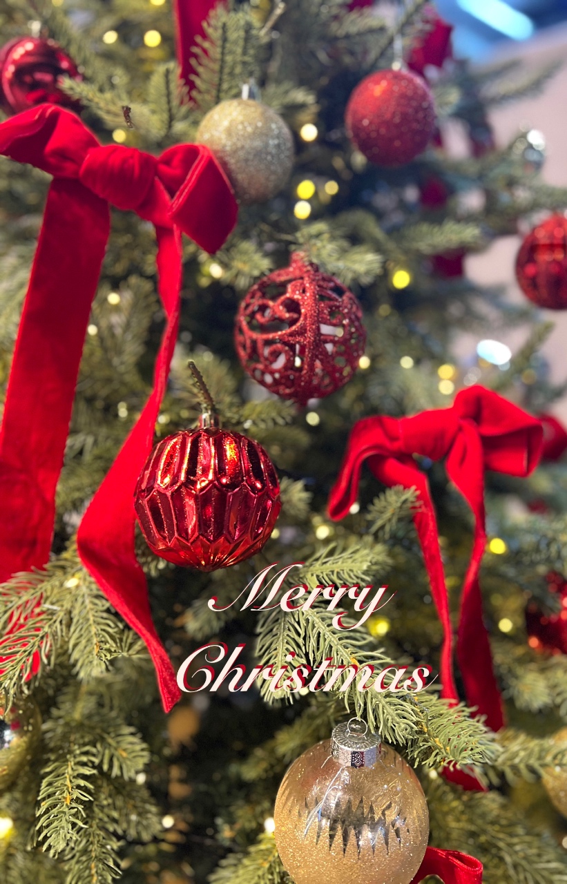 미리 메리 크리스마스 🎄