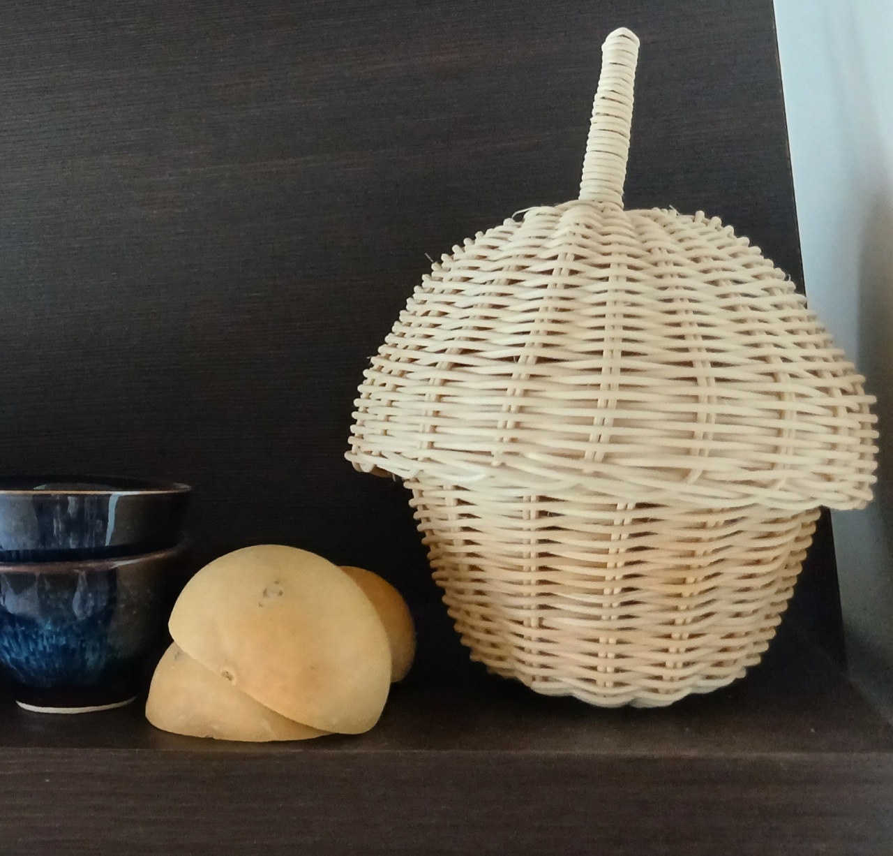 도토리🐿