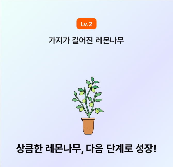 레몬나무도 들였어요