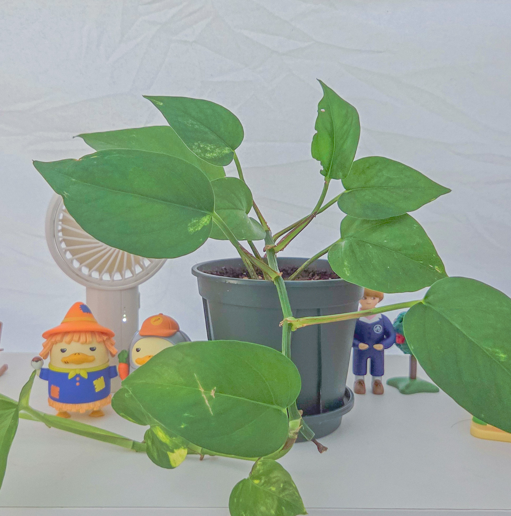 첨부파일