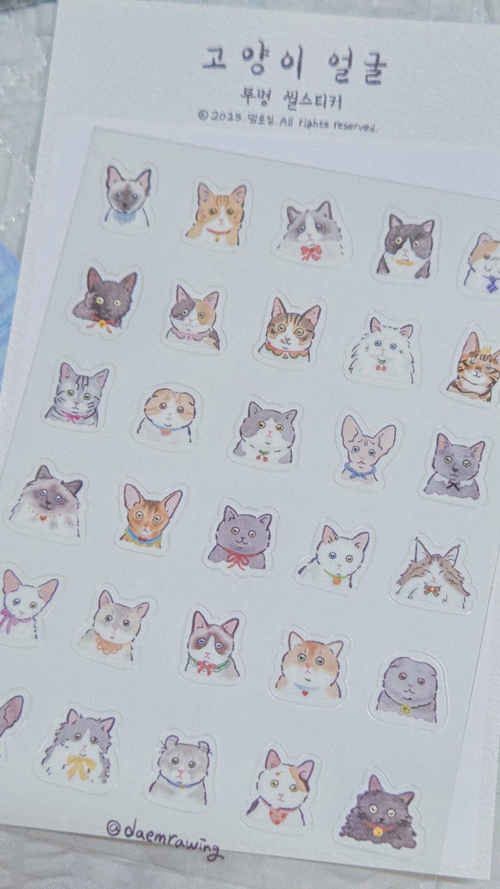 🐱 냥이 스티커