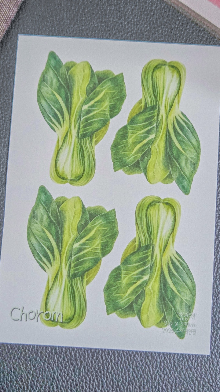 🖼 그림보기