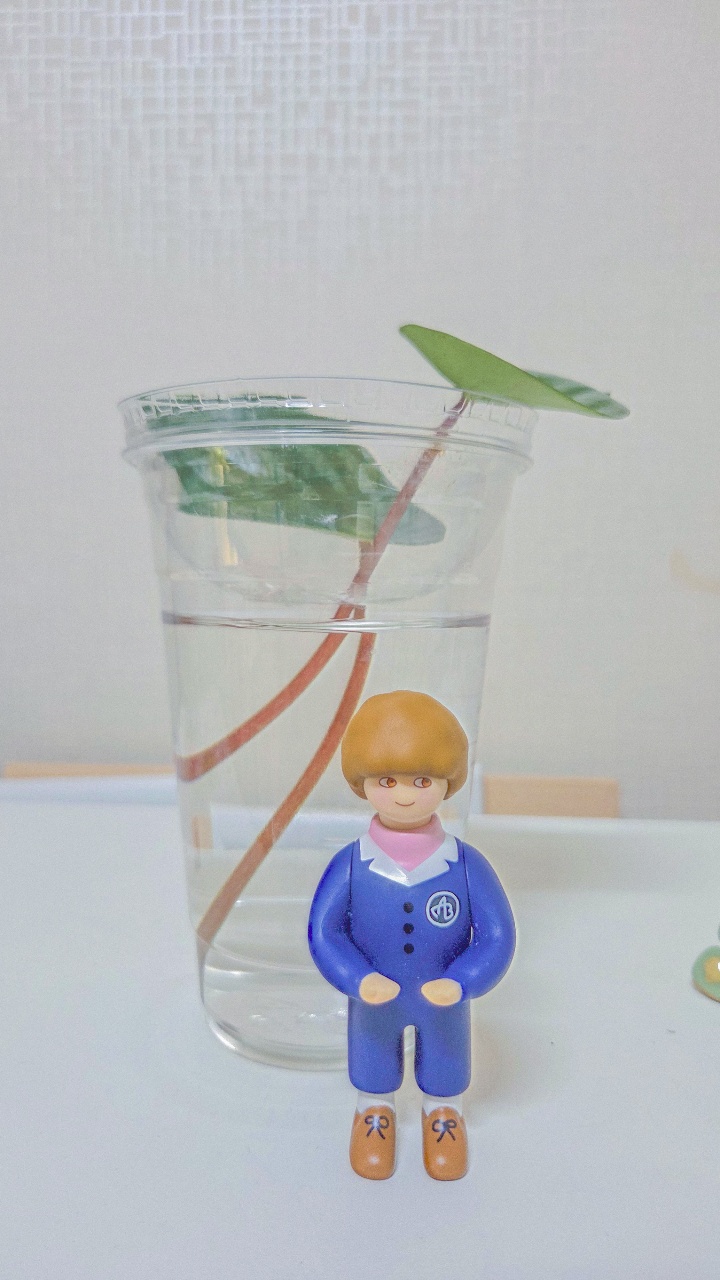 🧑‍🌾 물꽂이