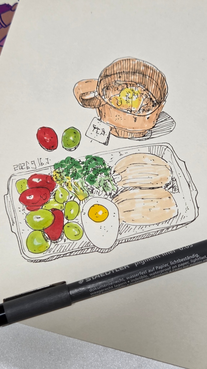 🖊 펜드로잉 