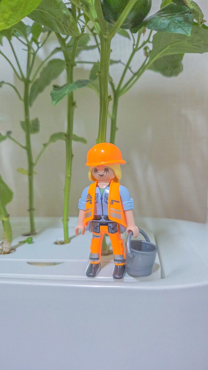 🧑‍🌾귀요미 식집사