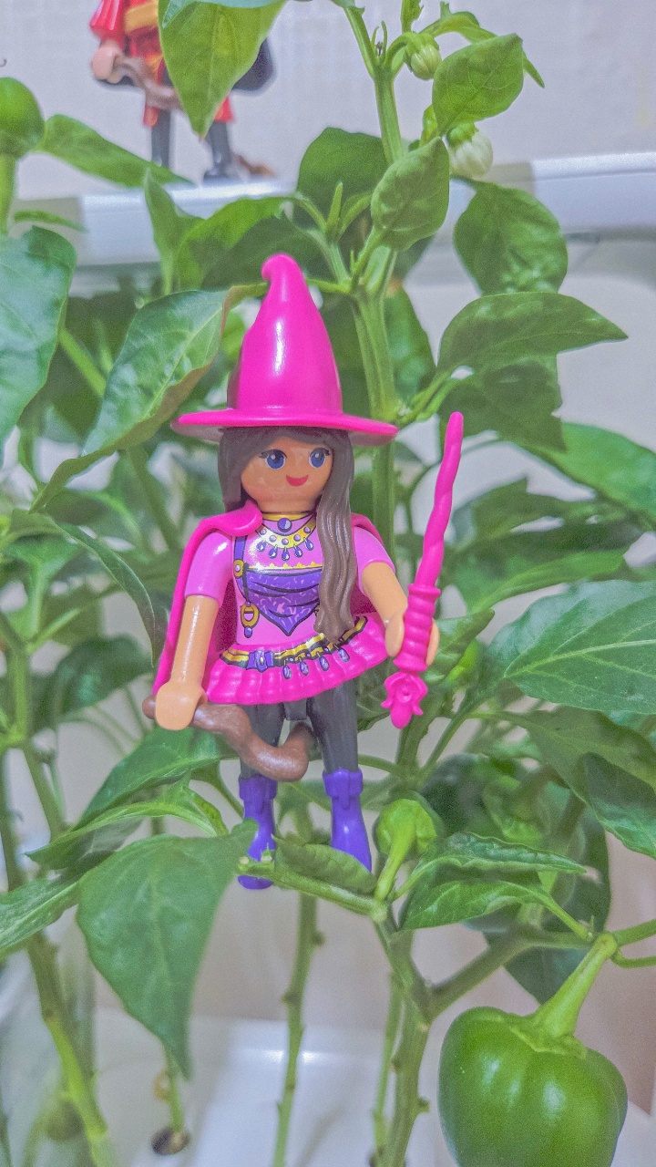 🧙 귀여움