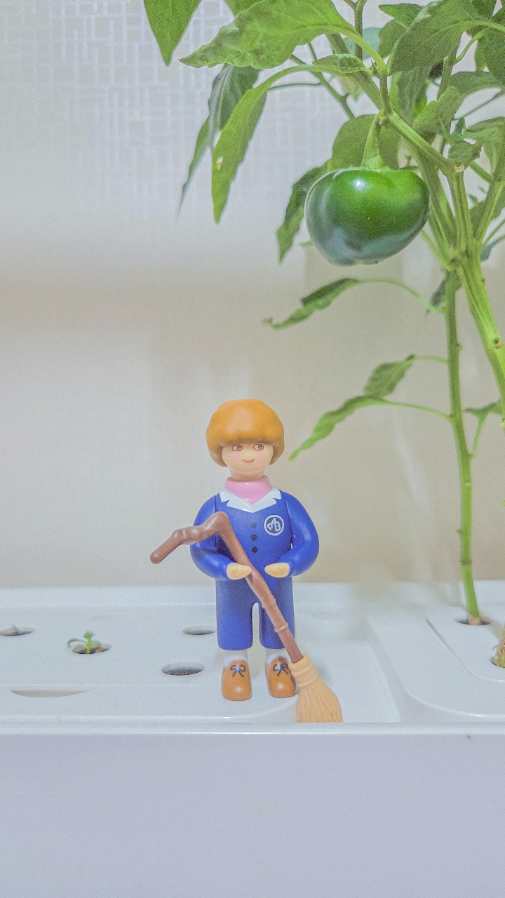 👨‍🌾 로즈마리 이사