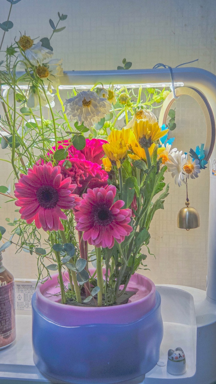 💐 꽃꽃이 