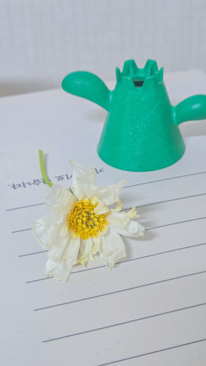 💐 꽃모닝